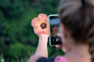 Aprenda a fotografar com celular