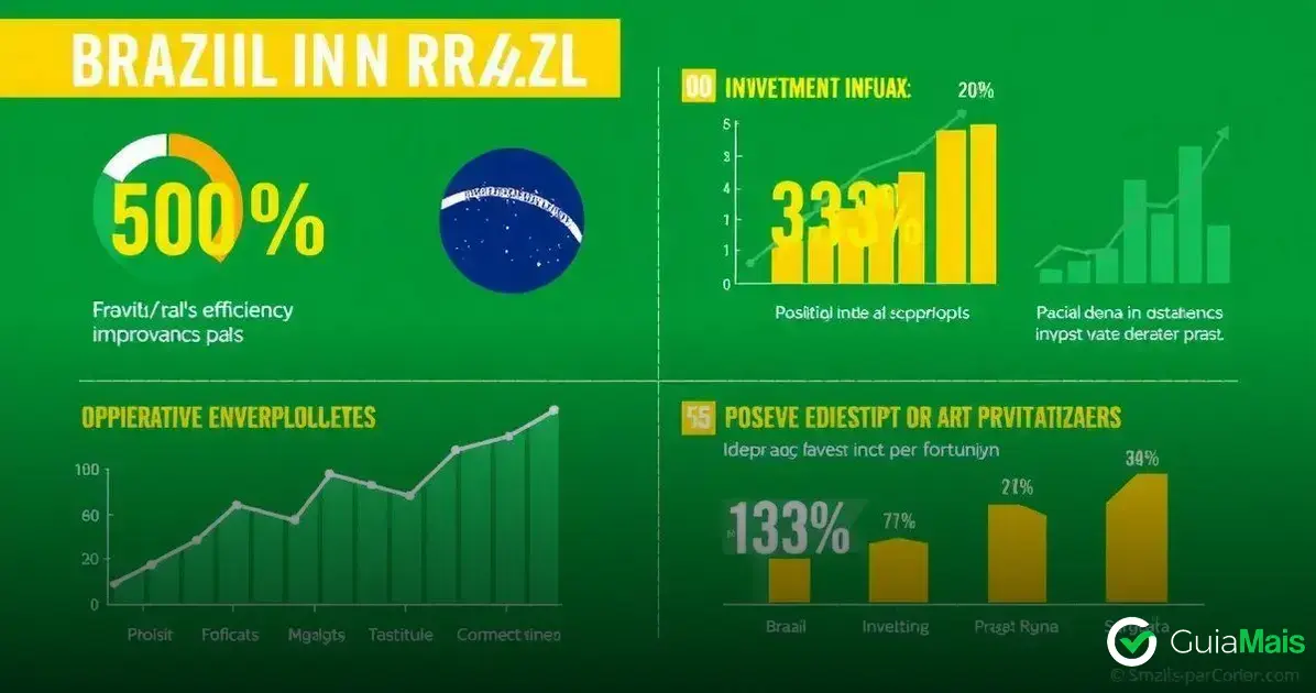 Impactos econômicos das privatizações